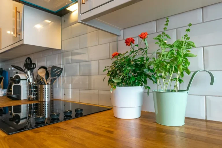 instant pot on kitchen counter