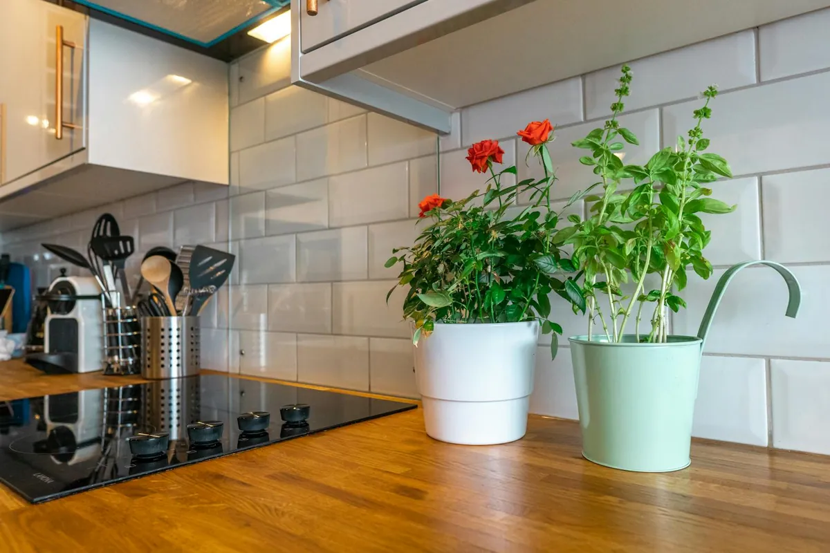 instant pot on kitchen counter