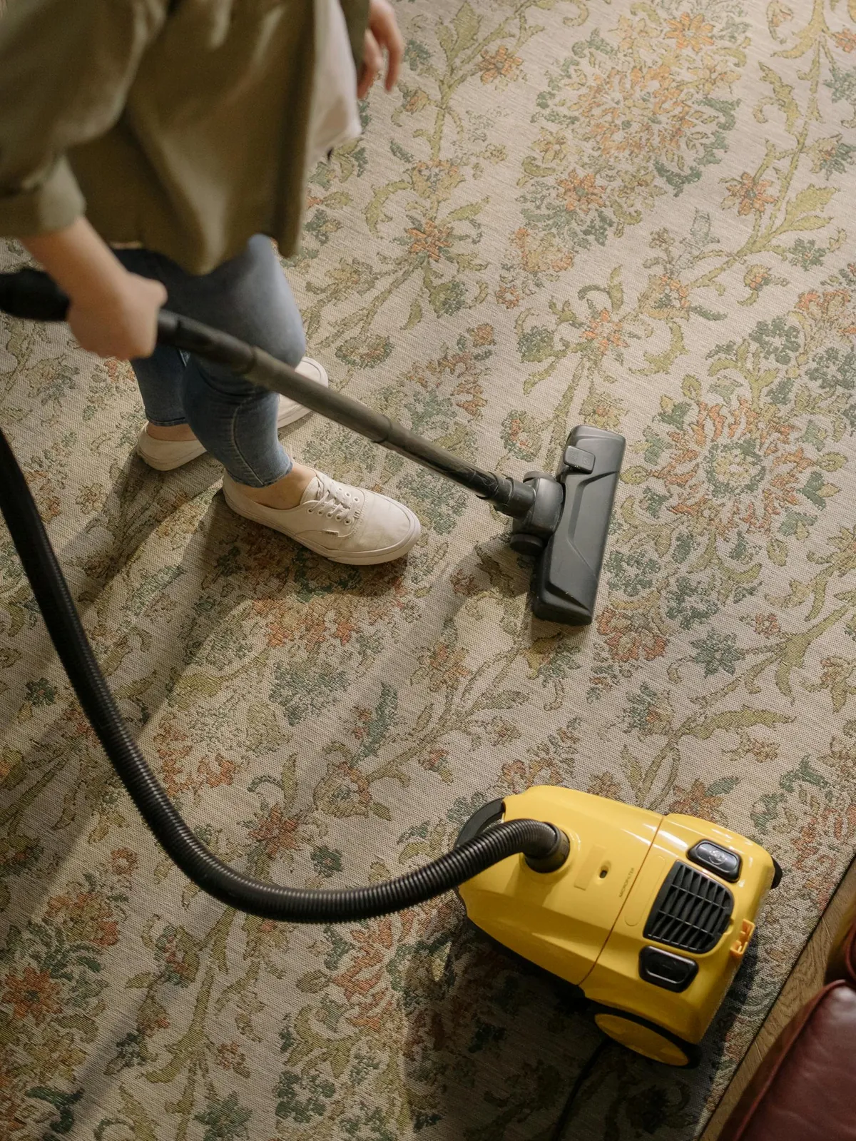 professional carpet cleaning pet stain removal steam