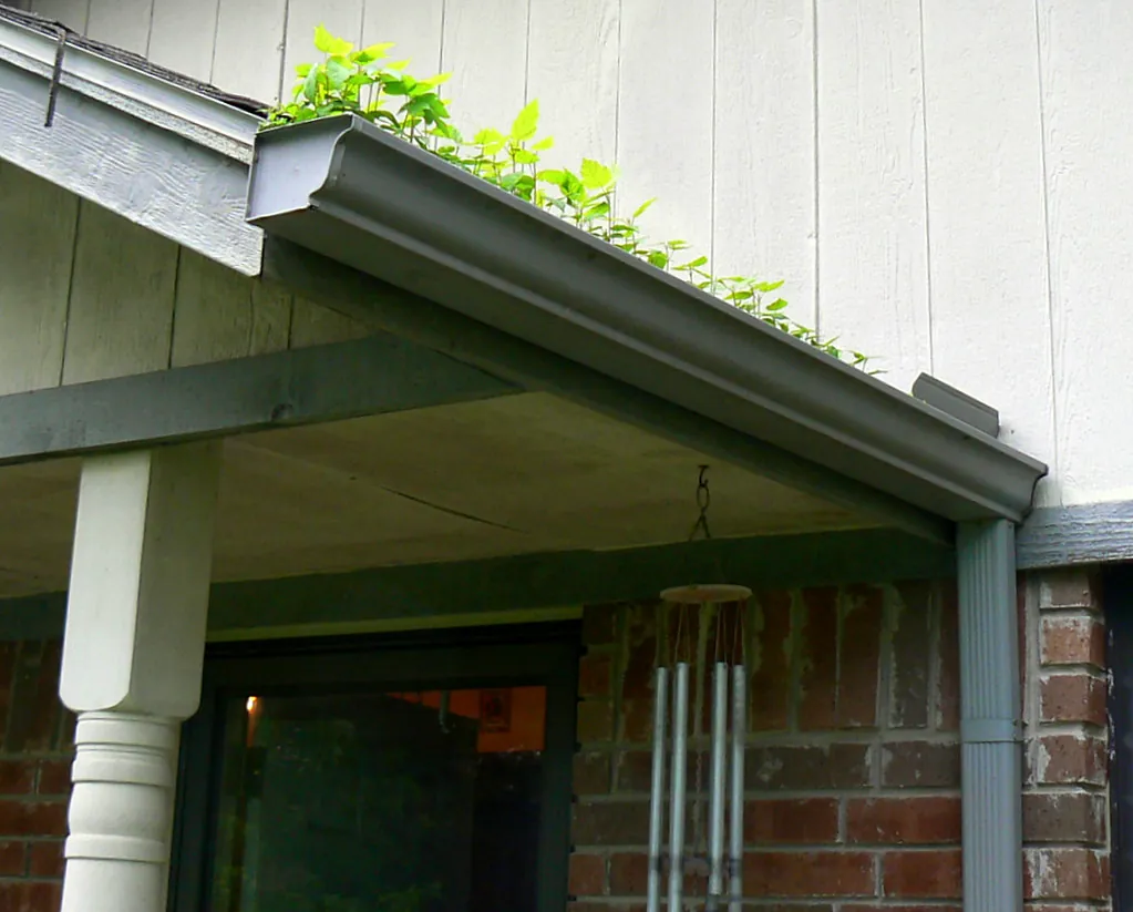 clean gutters home roof